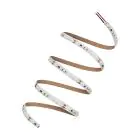 Ledvance Strisce LED Performance 21W 2455lm 24v - 965 Luce Del Giorno | 5M/8mm - Miglior Resa Cromatica